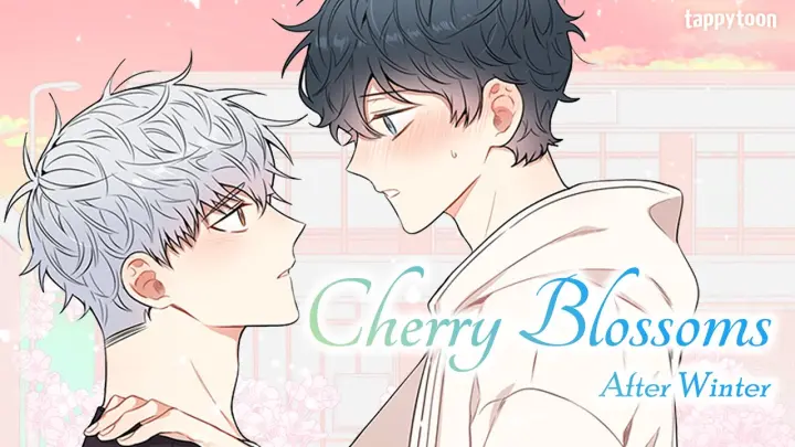 Cherry Blossoms After Winter Bilibili
