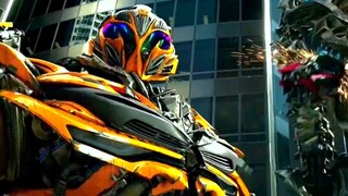 Bạn gọi đây là Cybertron Scout à? 50-50