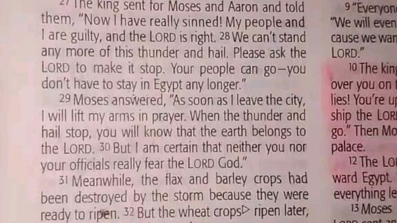 Daily Verse.                  Exodus 9:27-35