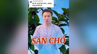 Trả lời  Rau Sam diệt Sán Chó. chó thucung suckhoe songkhoe247 xuhuong meovat lamdep LearnOnTikTok trongtan .