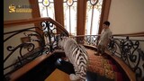 ketika harimau turun tangga 🤓