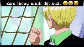 Zoro thông minh đột xuất