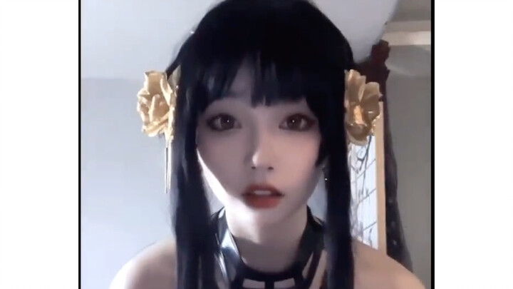 คอลเล็คชั่นสุขภาพ 19
