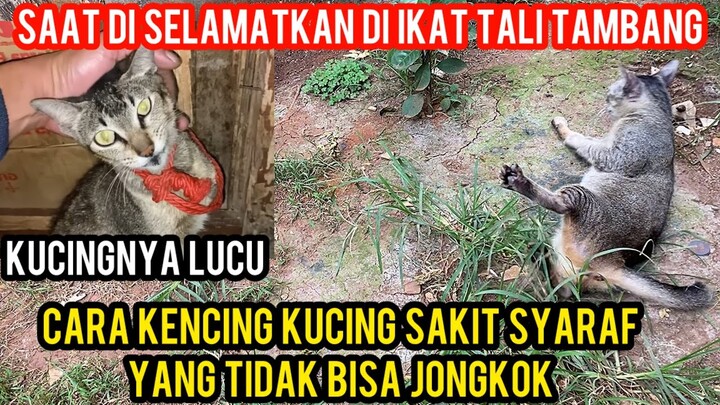 KUCING SAKIT SARAF YANG DI IKAT TALI TAMBANG KALAU KENCING LUCU BANGET