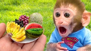 Monkey Baby Bon Bon eat hamburger and with puppy go to a picnic to eat lunch in the garden