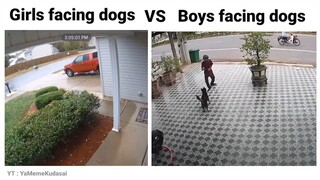 Girls Vs Boys with animals