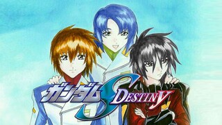 【高达SEED DESTINY】战斗的理由 - REASON