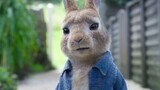 Peter Rabbit 2 The Runaway 2021 720p WEB-DL x264 ESubs