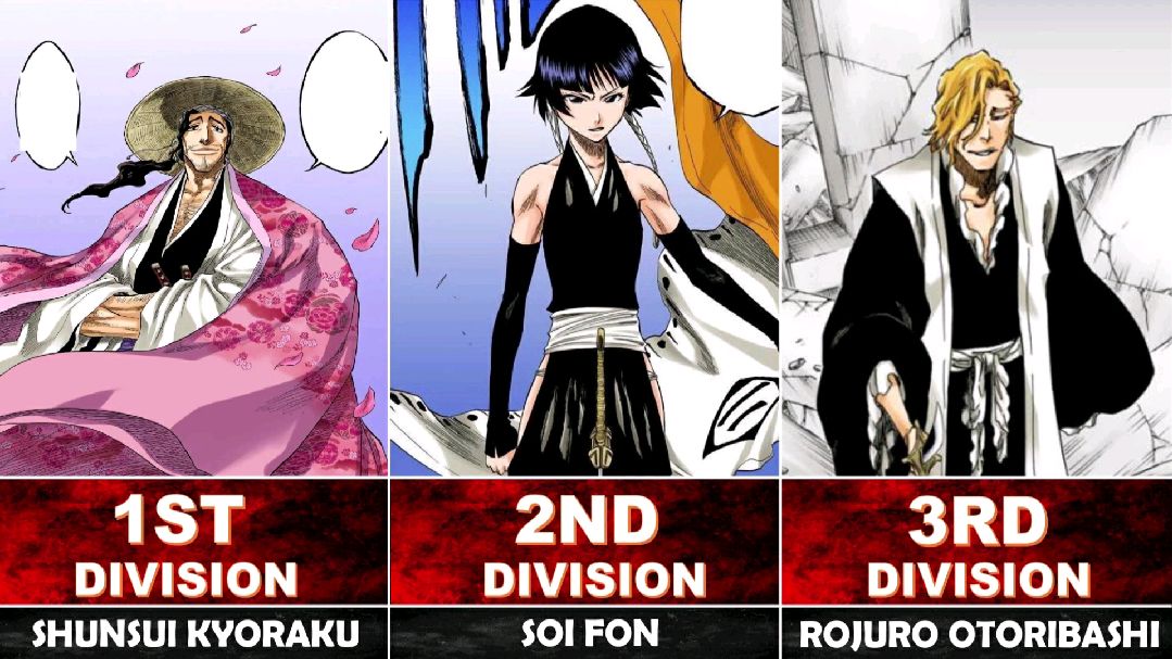 The 13 captains if they were Pokémon (SS arc line-up) : r/bleach