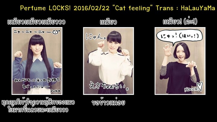 [itHaLauYaMa] 20160222 Perfume LOCKS Cat Feelling TH