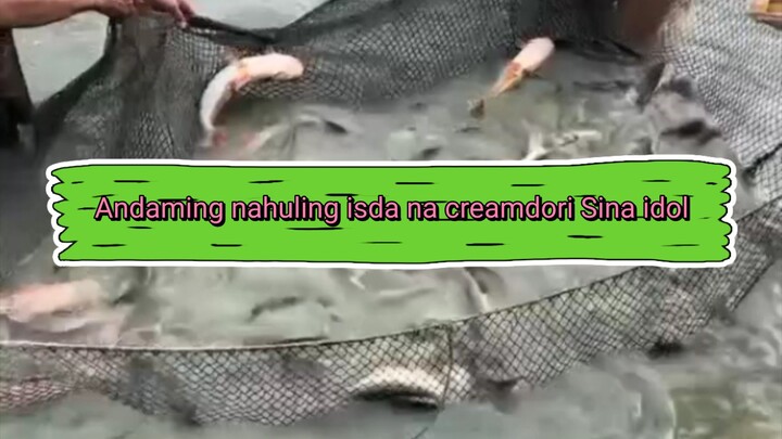 Ang Lalaking isda creamdori