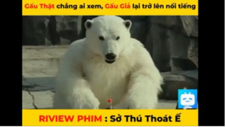 review phim sở thú thoát ế #reviewfilm