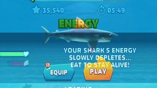 Hungry Shark