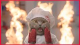 The Cat Cooking Show 2.