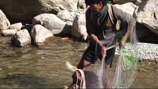 cast net fishing in Nepal | himalayan trout fishing in Nepal | trout fishing