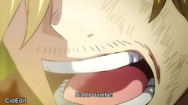 sanji's mutation