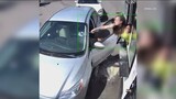 Seattle bikini barista shatters windshield with hammer after customer throws drinks at her