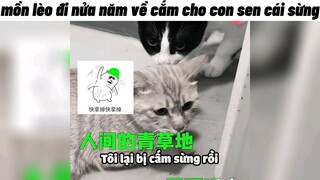 mồn lèo đi nửa năm về cắm cho con sen cái sừng