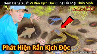 Săn Bắt Đủ Loại Cá Độc Lạ Và Cái Kết Xém Đăng xuất Vì Rắn Kịch Độc || Review Giải Trí Đời Sống