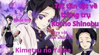 Kimetsu No Yaiba|Tất Tần Tật Về Trùng Trụ Kochou Shinobu|Hồ Sơ Nhân Vật #40|GSANIME.