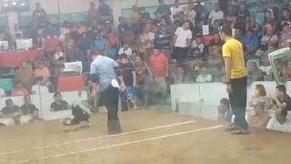 2cock ulutan antipolo 2nd figth 🏆 champion nov 25