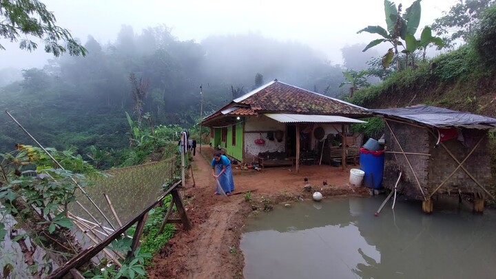 TENTRAMNYA.. Hidup Di Desa, Suasana Damai Di Rumah Terpencil Di Pagi Hari | Pedesaan Sunda