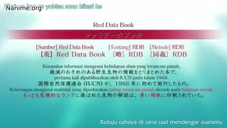 Red Data Girl E8