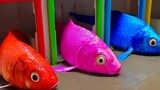 [Remix]Stop motion animation: the fish couple's wedding was ruined