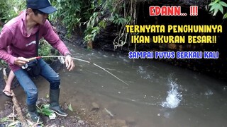 Mancing Di Spot Yang Jarang Banget DiJamah Orang  || TERNYATA PENGHUNINYA BAWAL MONSTER BROO!!