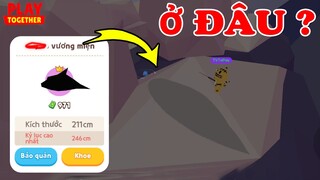 Thử Thách 24h Săn Cá Địa Điểm Mới Không Ai Biết, Bất Ngờ Dính Toàn Cá VIP | Play Together