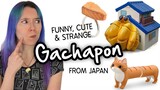 Funny GACHAPON from Japan