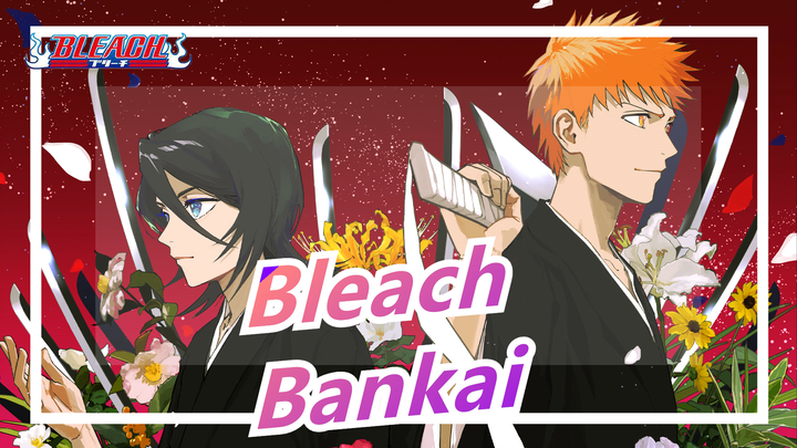 [Bleach] I Suggest To Use Bankai Directly