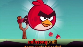 นกโกรธหมูมาก Angry Birds Reloaded