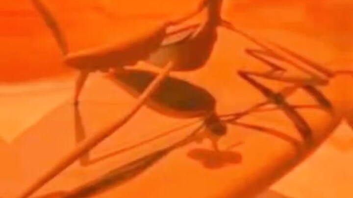 crazy mantis