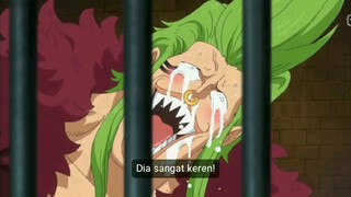 bartolomeo fanboy Mugiwara 😭🤣