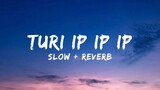 Turi ip ip ip Slowed + Reverb.. (Lyrics)