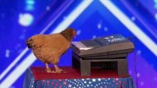 America’s Got Talent 2017 -  Funniest _ Weirdest _ Worst Auditions