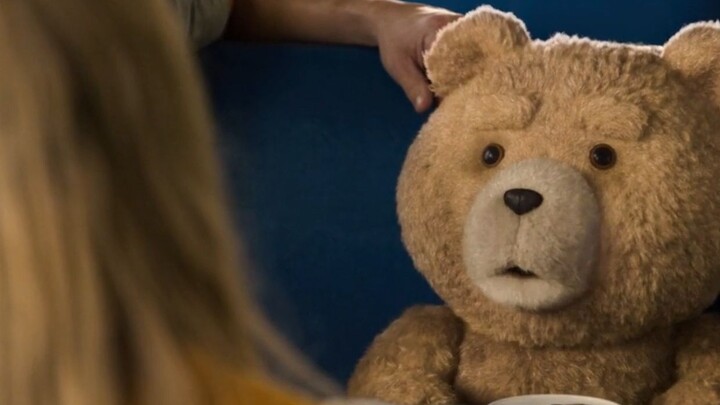 Sopir Teddy Bear