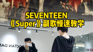 [SEVENTEEN]别人翻跳很帅怎么办？没关系 来看教程！《Super》副歌教程