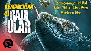 ULAR PITON ❌ RAJA ULAR ✔ | RECAP ALUR CERITA King Serpent Island