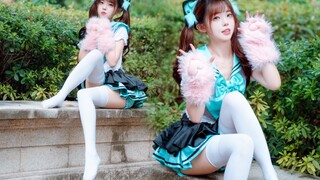 哪里偷跑出来的猫，逮回家～