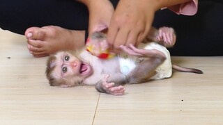 Most funny! So lovely little boy Maki very happily play with mom after eat Fruits Before bed