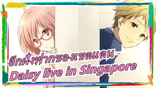 อีกฝั่งฟากของเขตแดน |ED:Daisy live in Singapore(Animenz)