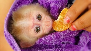 First orange taste for tiny adorable Luca, He doesn't want to try coz just finished the milk