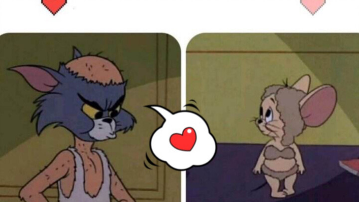 [Cat and Jerry] Tình bạn là lời tỏ tình dài nhất