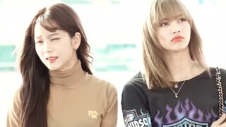 【CHAELISA】Caiying and Lisa are jealous of each other!