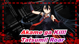 [Akame ga Kill!] Tatsumi! Roar with Your Hot Burning Soul!