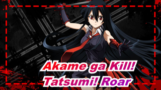 [Akame ga Kill!] Tatsumi! Roar with Your Hot Burning Soul!