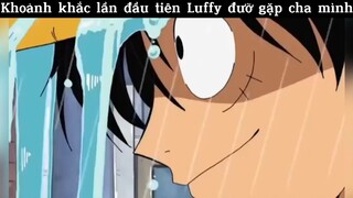 Lần đầu Luffy được gặp cha mình