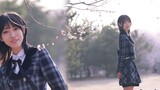 [Slowly] 10 years of cherry blossoms - thanks for the 10 years of meeting with akb